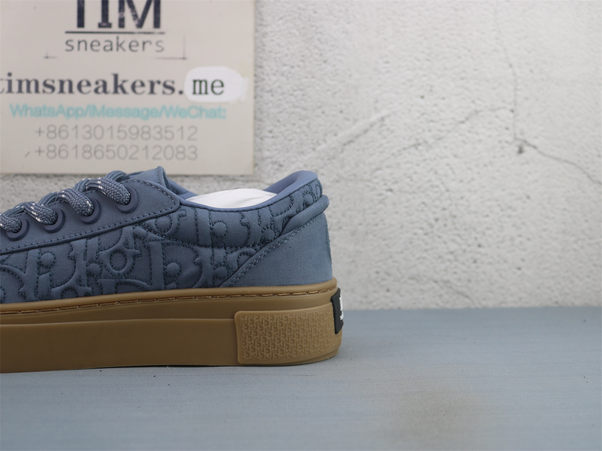 Stone Island X DIOR B33 Skateboard Shoes Men Low-Top Blue